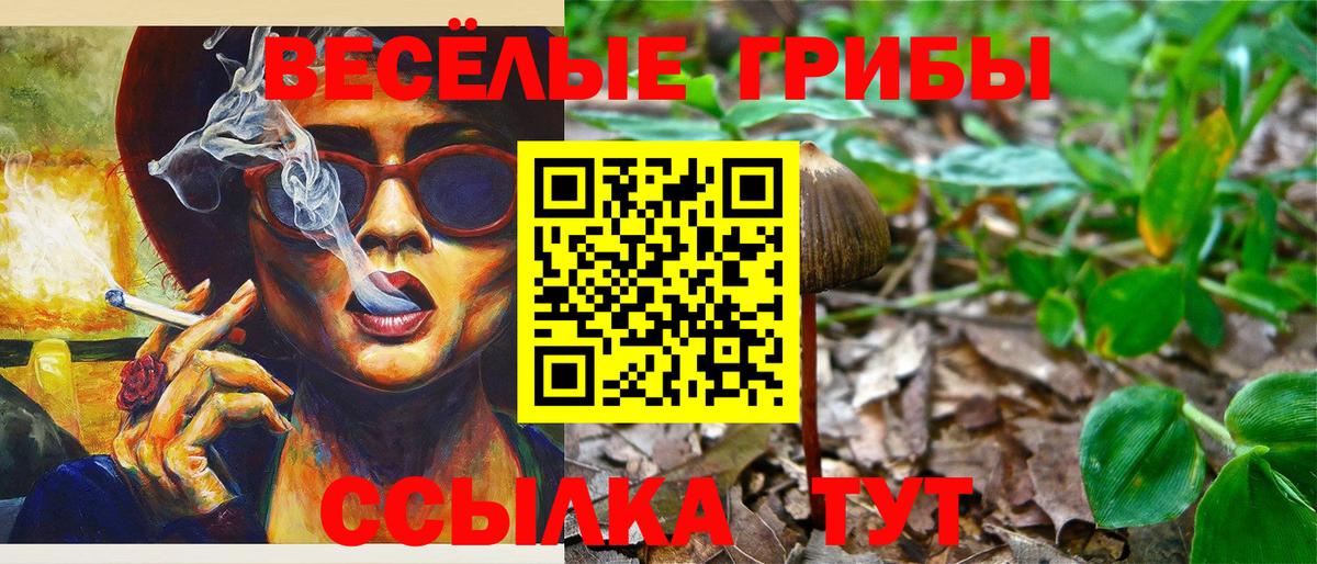 Галлюциногенные грибы MAGIC MUSHROOMS Белогорск