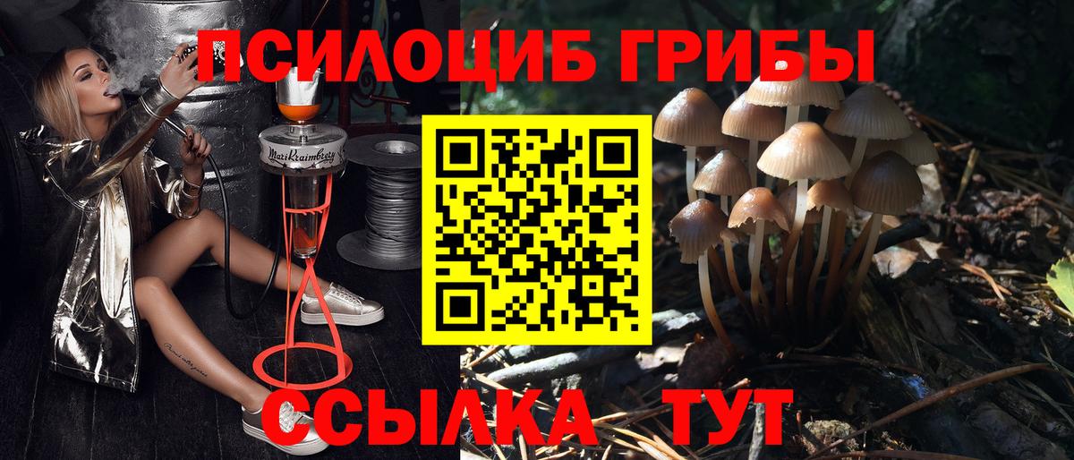 купить наркотик  Псилоцибиновые грибы мухоморы  Вход с VPN  Белогорск 